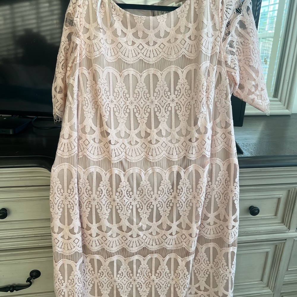 Eliza J Blush Lace Long Sleeve Dress